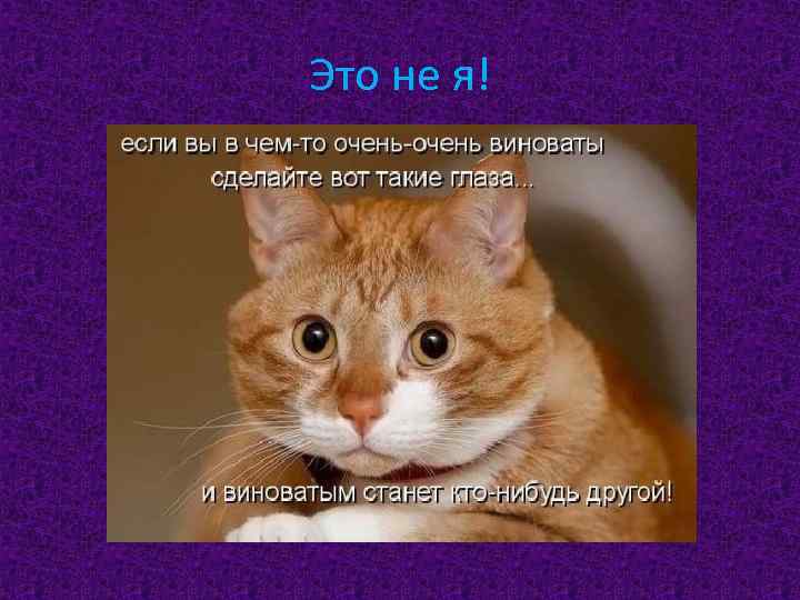 Это не я! 