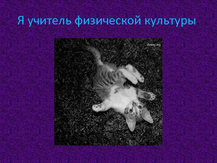 Я учитель физической культуры. 