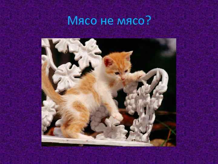 Мясо не мясо? 