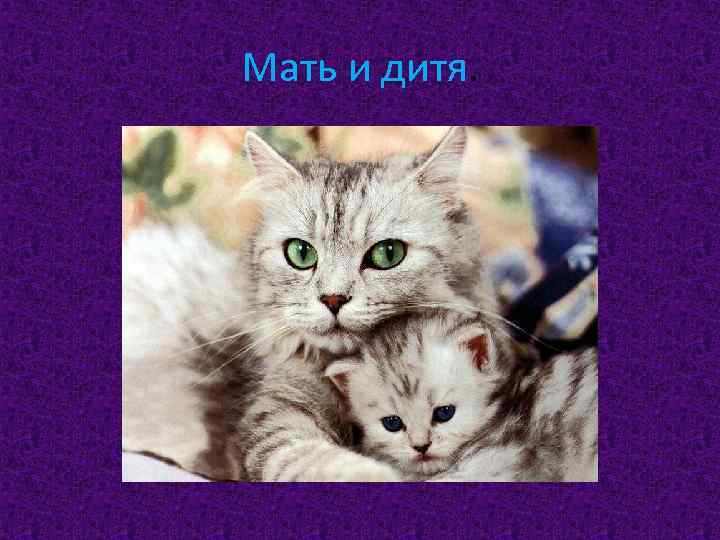 Мать и дитя. 