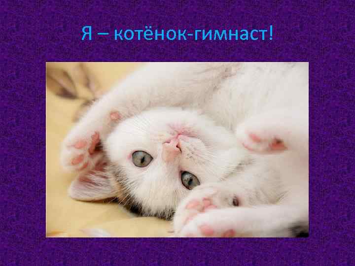 Я – котёнок-гимнаст! 