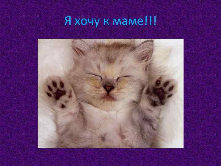 Я хочу к маме!!! 