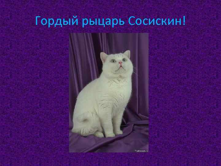 Гордый рыцарь Сосискин! 