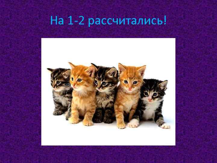 На 1 -2 рассчитались! 