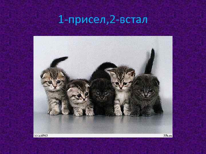 1 -присел, 2 -встал 