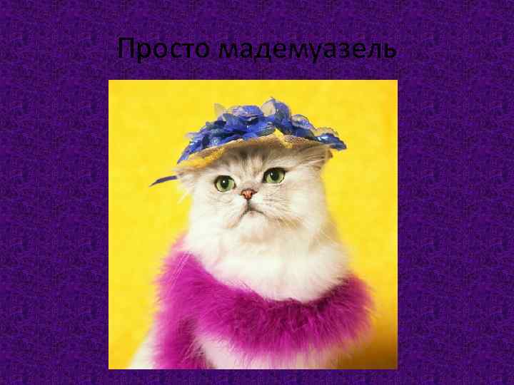 Просто мадемуазель 