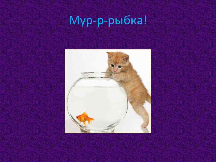 Мур-р-рыбка! 