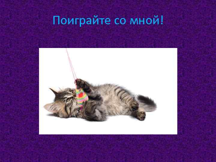 Поиграйте со мной! 