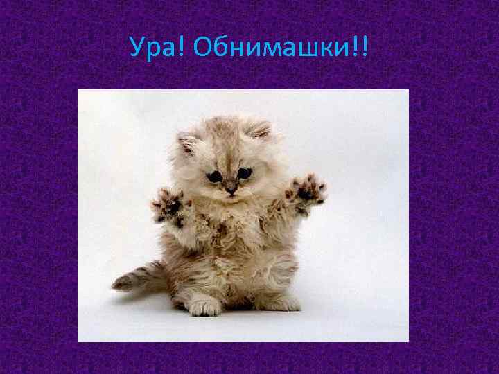 Ура! Обнимашки!! 