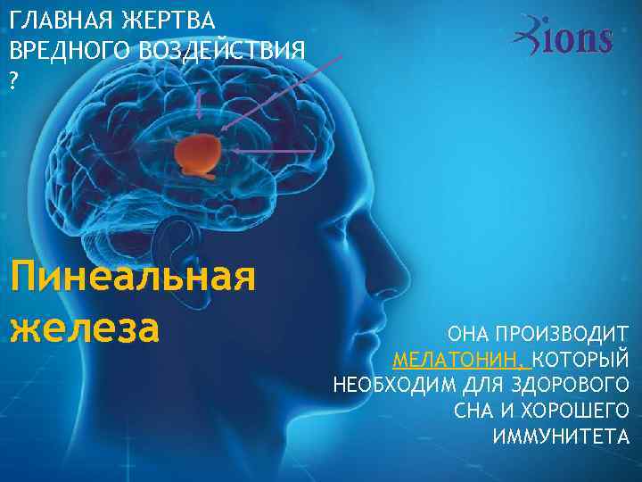 ГЛАВНАЯ ЖЕРТВА ВРЕДНОГО ВОЗДЕЙСТВИЯ ? Пинеальная железа ОНА ПРОИЗВОДИТ МЕЛАТОНИН, КОТОРЫЙ НЕОБХОДИМ ДЛЯ ЗДОРОВОГО