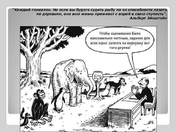 "Каждый гениален. Но если вы будете судить рыбу по ее способности лазать по деревьям,