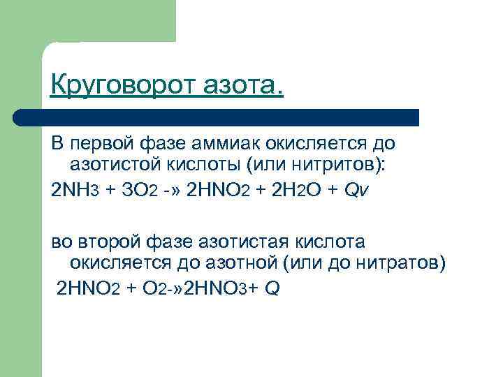 Круговорот азота. В первой фазе аммиак окисляется до азотистой кислоты (или нитритов): 2 NH