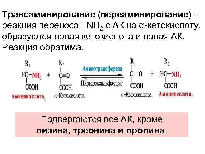 Трансаминирование (переаминирование) реакция переноса –NH 2 с АК на α-кетокислоту, образуются новая кетокислота и