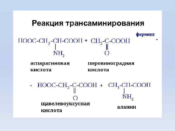 Реакция трансаминирования 