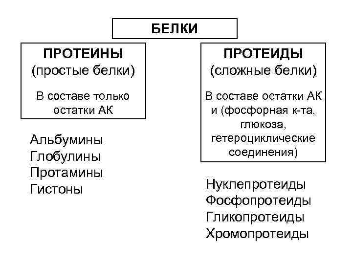 БЕЛКИ ПРОТЕИНЫ (простые белки) ПРОТЕИДЫ (сложные белки) В составе только остатки АК В составе