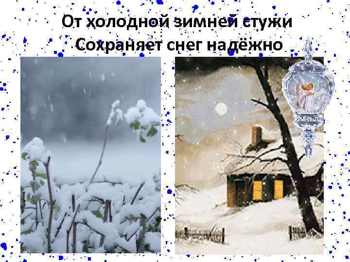 От холодной зимней стужи Сохраняет снег надёжно 