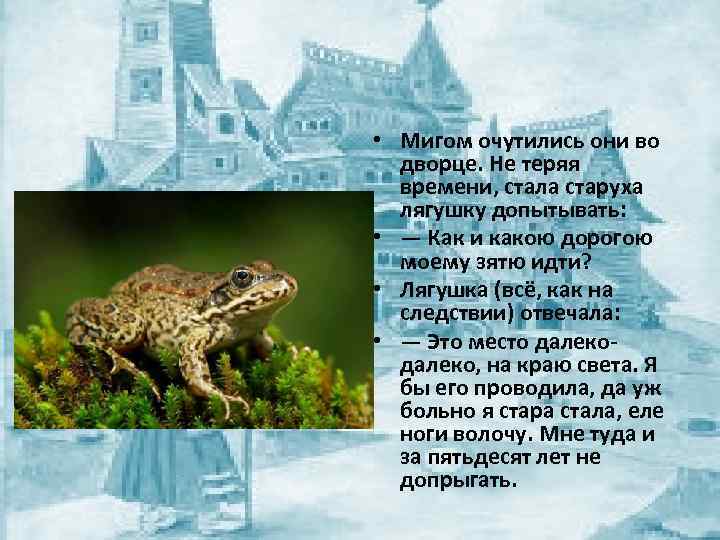  • Мигом очутились они во дворце. Не теряя времени, стала старуха лягушку допытывать: