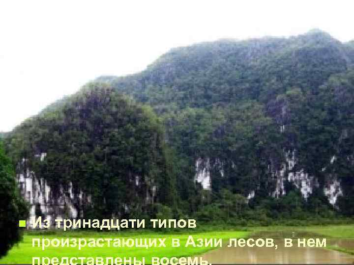 n Из тринадцати типов произрастающих в Азии лесов, в нем 