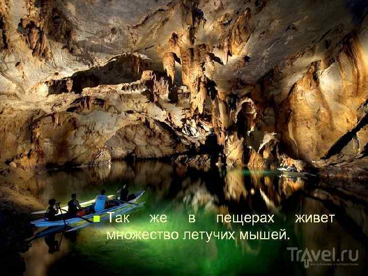 n Так же в пещерах живет множество летучих мышей. 