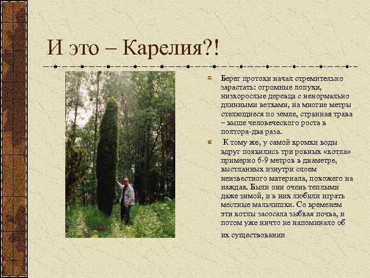 И это – Карелия? ! Берег протоки начал стремительно зарастать: огромные лопухи, низкорослые деревца