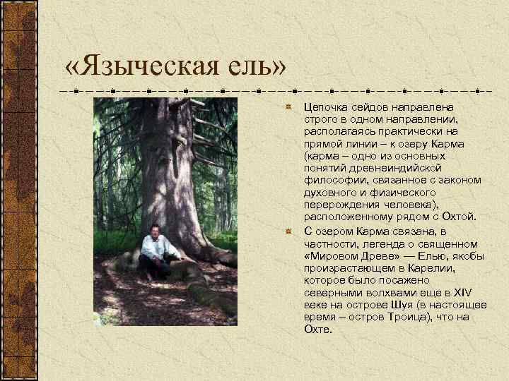  «Языческая ель» Цепочка сейдов направлена строго в одном направлении, располагаясь практически на прямой