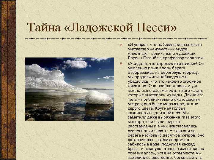 Тайна «Ладожской Несси» «Я уверен, что на Земле еще сокрыто множество неизвестных видов животных