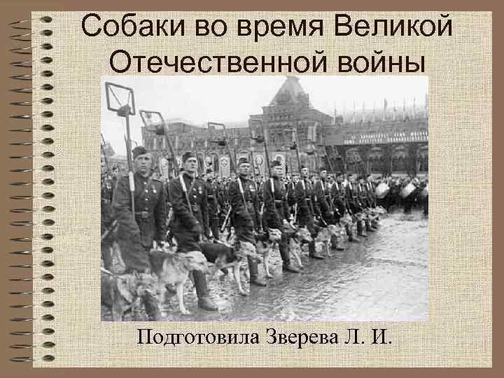 Собаки во время Великой Отечественной войны Подготовила Зверева Л. И. 