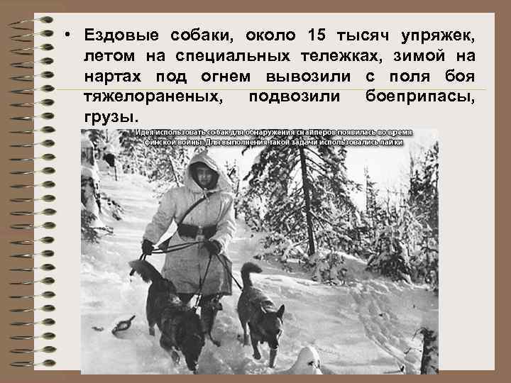  • Ездовые собаки, около 15 тысяч упряжек, летом на специальных тележках, зимой на