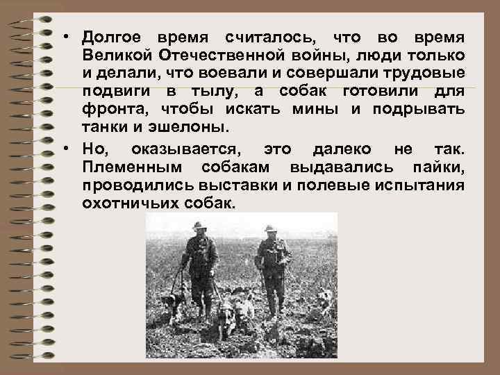  • Долгое время считалось, что во время Великой Отечественной войны, люди только и