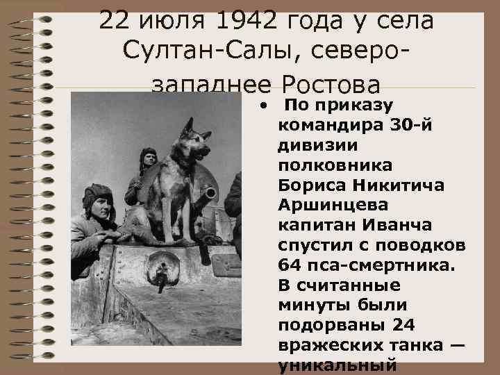 22 июля 1942 года у села Султан-Салы, северозападнее Ростова • По приказу командира 30