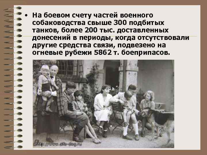  • На боевом счету частей военного собаководства свыше 300 подбитых танков, более 200