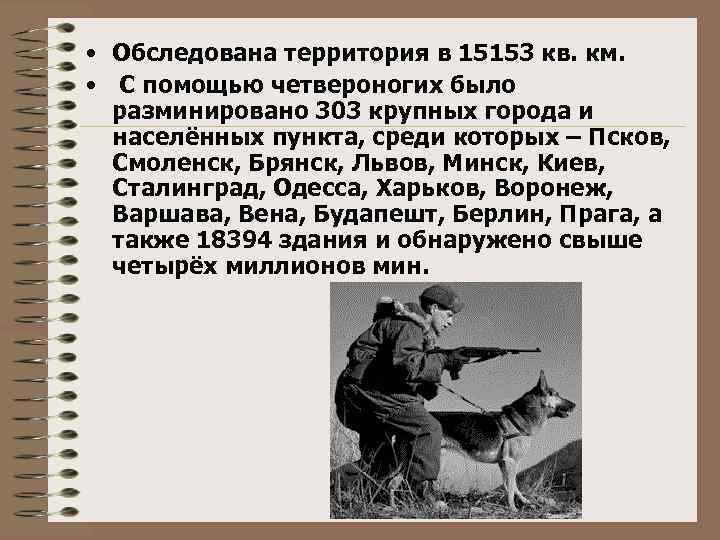  • Обследована территория в 15153 кв. км. • С помощью четвероногих было разминировано