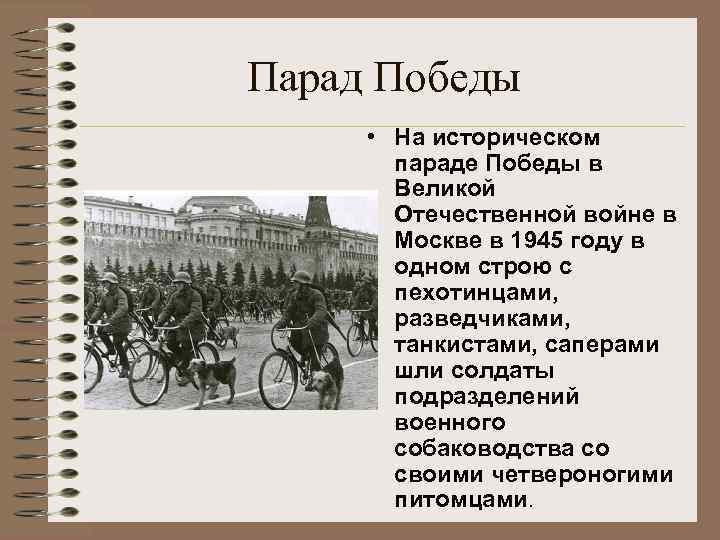 Парад Победы • На историческом параде Победы в Великой Отечественной войне в Москве в