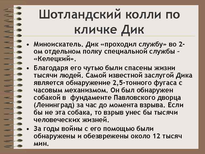 Шотландский колли по кличке Дик • Миноискатель. Дик «проходил службу» во 2 ом отдельном