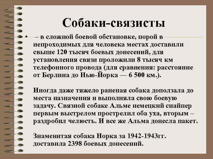 Собаки-связисты • – в сложной боевой обстановке, порой в непроходимых для человека местах доставили