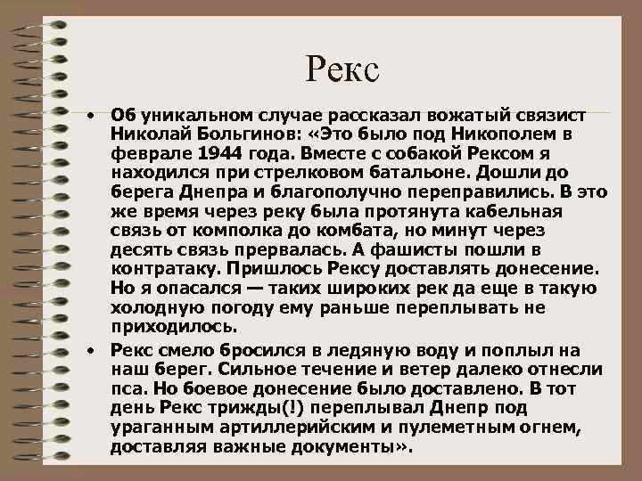 Рекс • Об уникальном случае рассказал вожатый связист Николай Больгинов: «Это было под Никополем