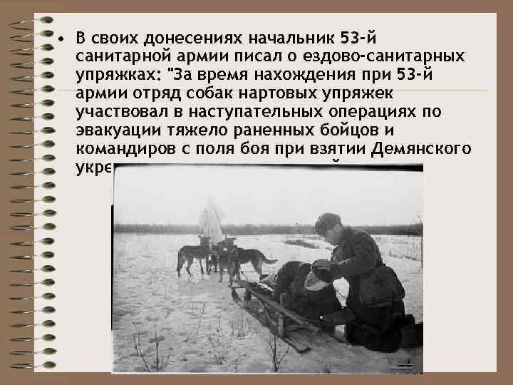  • В своих донесениях начальник 53 -й санитарной армии писал о ездово-санитарных упряжках: