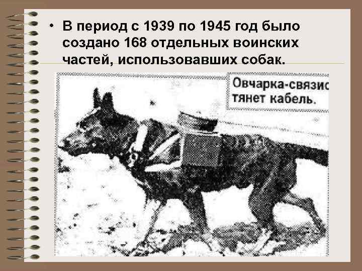  • В период с 1939 по 1945 год было создано 168 отдельных воинских