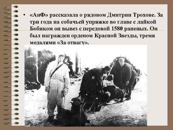  • «Аи. Ф» рассказала о рядовом Дмитрии Трохове. За три года на собачьей