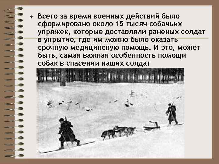  • Всего за время военных действий было сформировано около 15 тысяч собачьих упряжек,