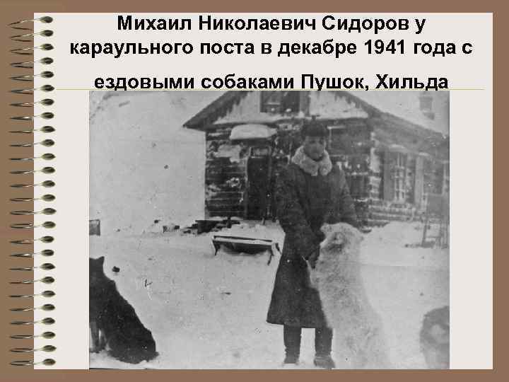 Михаил Николаевич Сидоров у караульного поста в декабре 1941 года с ездовыми собаками Пушок,