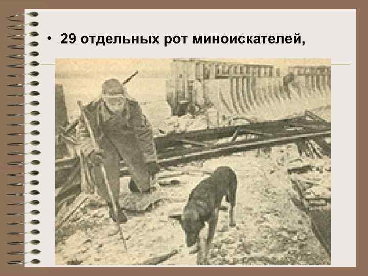  • 29 отдельных рот миноискателей, 