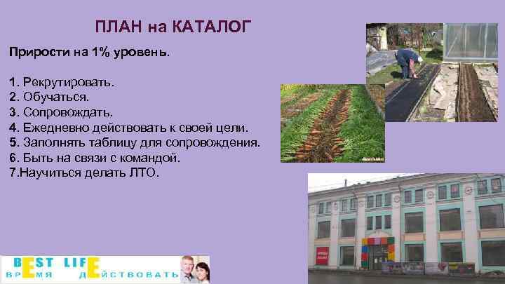 ПЛАН на КАТАЛОГ Прирости на 1% уровень. 1. Рекрутировать. 2. Обучаться. 3. Сопровождать. 4.
