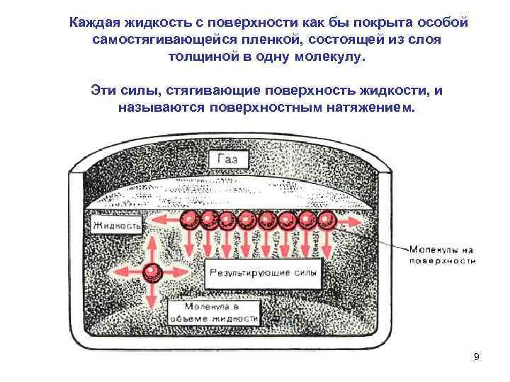  Каждая жидкость с поверхности как бы покрыта особой самостягивающейся пленкой, состоящей из слоя