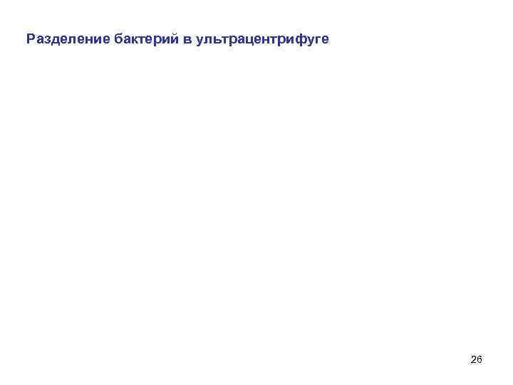 Разделение бактерий в ультрацентрифуге 26 