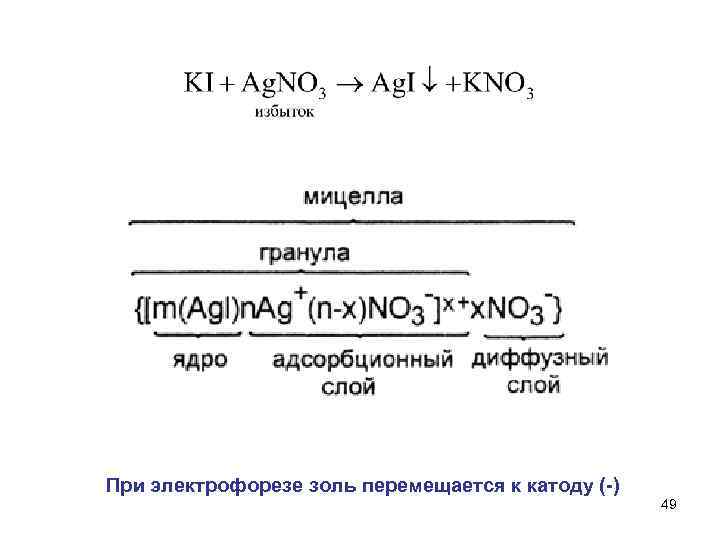 При электрофорезе золь перемещается к катоду (-) 49 