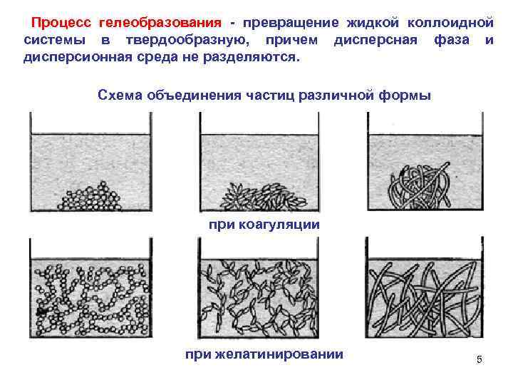 Процесс гелеобразования - превращение жидкой коллоидной системы в твердообразную, причем дисперсная фаза и дисперсионная