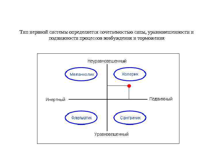 Тип нервной системы определяется сочетаемостью силы, уравновешенности и подвижности процессов возбуждения и торможения 