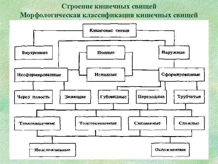 Строение кишечных свищей Морфологическая классификация кишечных свищей § 