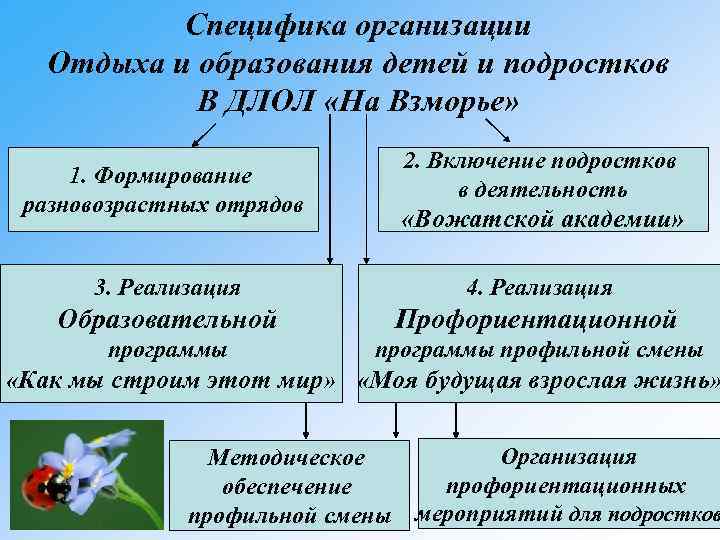 Специфика организации Отдыха и образования детей и подростков В ДЛОЛ «На Взморье» 1. Формирование